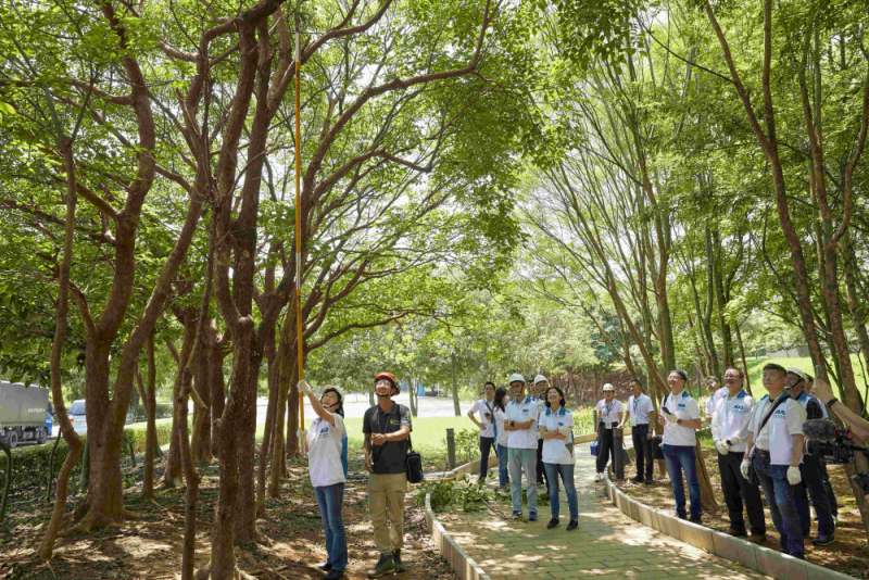 藝師教導大家認識樹木、檢查樹的健康狀況，學習修枝及碎枝覆土